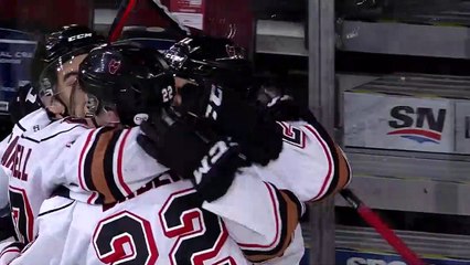 WHL Red Deer Rebels at Calgary Hitmen