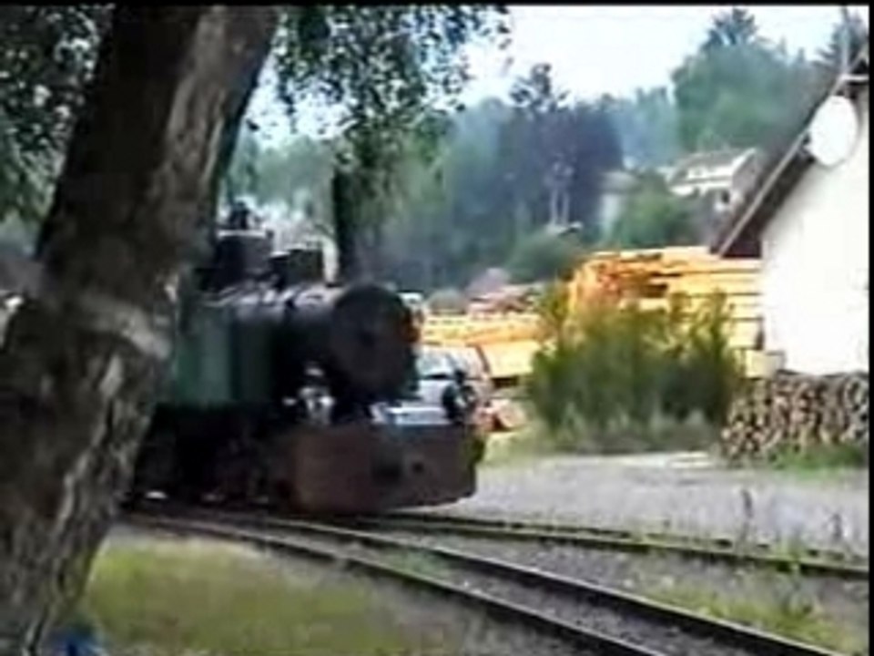 Chemin de fer touristique Abreschviller (5)