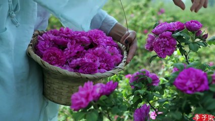 Chinese girl-Chinese food- Colorful flower food