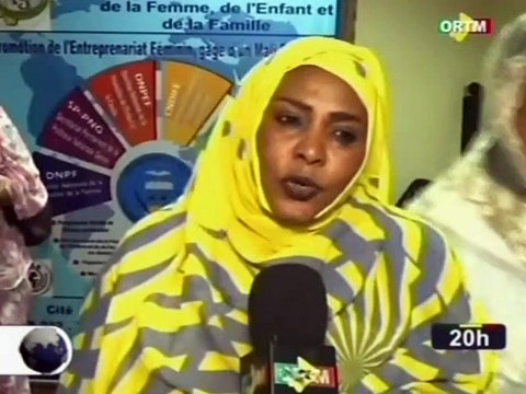 ORTM/ Rencontre entre les femmes leaders du monde et la ministre de la promotion de l’enfant, de la femme et de la famille