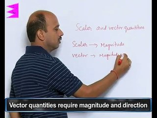 Scalar and Vector Quantity