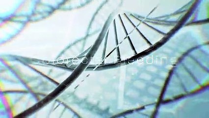 Dr Ho Kheng Thye - Heart Diseases