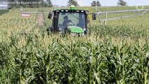 U.S. Delays Key Agriculture Reports Due to Government Shutdown