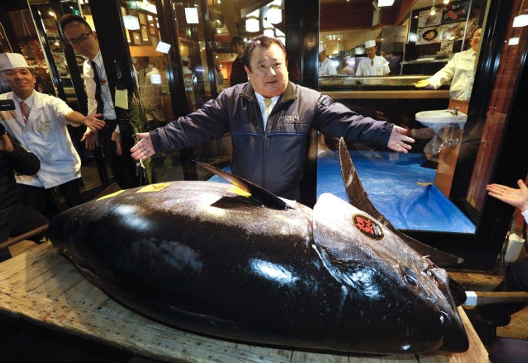 278 Kiloluk Orkinos Balığı Yaklaşık 16 Milyon TL'ye Satıldı