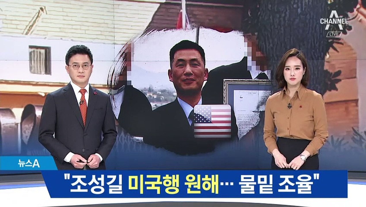 伊 언론 “조성길, 미국 망명 원해…극비리 진행”