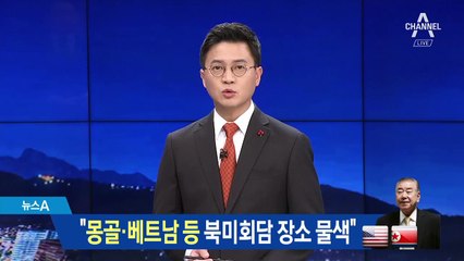문정인 “美, 몽골·베트남 등 북미회담 장소 물색”