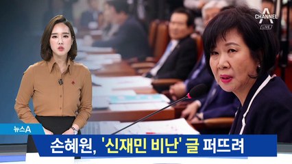 손혜원, ‘퇴직 후 헛소문 유포는 양아치짓’ SNS 글 공유