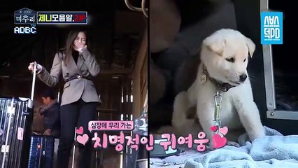 횡성출장마사지 - { 카톡FC81} ⊀Ö7Ô-5180-1616⊁ 횡성출장안마'20대' 횡성출장안마 출장안마코스 횡성출장안마 횡성출장마사지-황제 횡성출장마사지- 횡성콜걸.