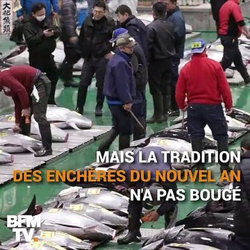 Au Japon, ce thon rouge s'est vendu 2,7 millions d'euros