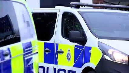 Suspect held after man stabbed to death on train