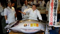 Tokyo: tonno da record venduto per 3 milioni di dollari