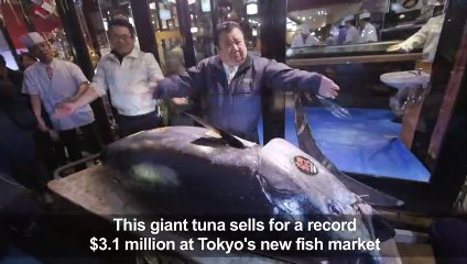 Japan: Record $3.1 million paid in New Year's tuna auction