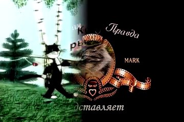 Коты рыбаки . Прикол !