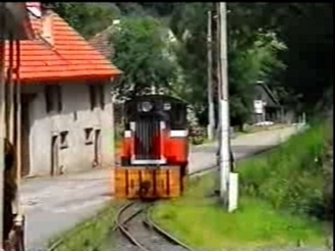 Chemin de fer touristique Abreschviller (10)