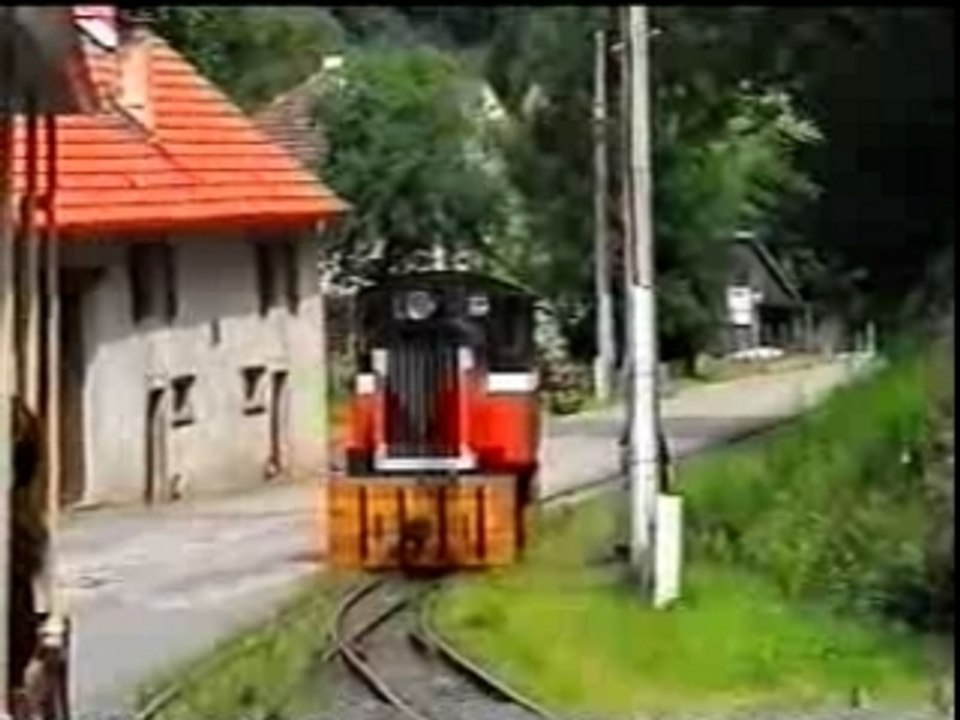 Chemin de fer touristique Abreschviller (10)