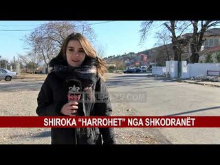 SHIROKA “HARROHET” NGA SHKODRANËT