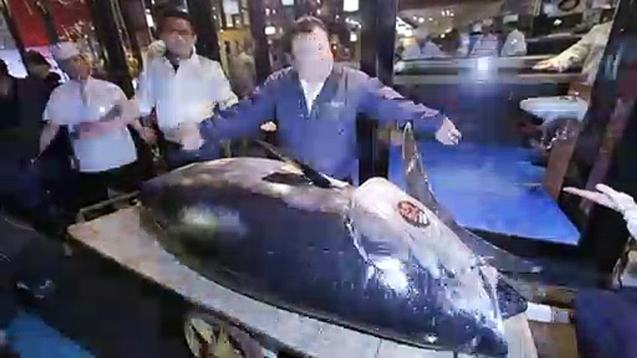 Japon: un thon vendu 2,7 millions d'euros aux enchères