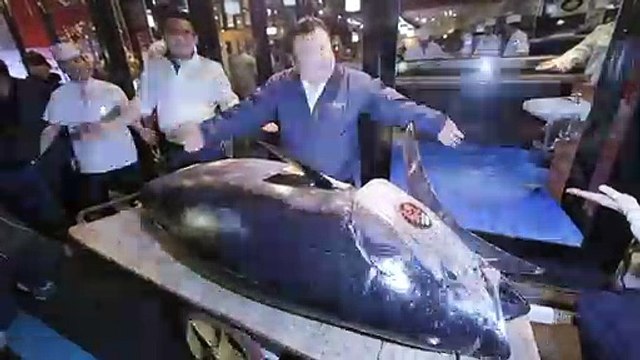 Japon: un thon vendu 2,7 millions d'euros aux enchères