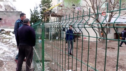 O ilçede sokak köpekleri toplanıyor