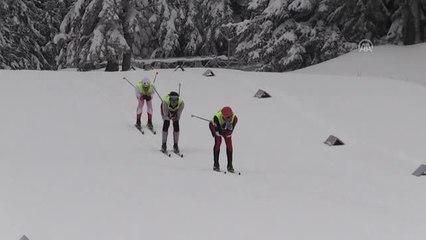 Kayaklı Koşu Uluslararası Fıs Kupası