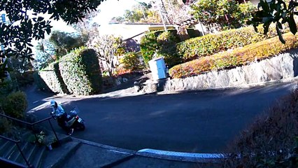 EDR January #5 2019 Street Theater and Noise Campaign