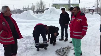 Hakkari'de çukura düşen köpek kurtarıldı