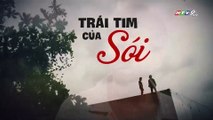 Trái Tim Của Sói Tập 18 - Phim Việt Nam