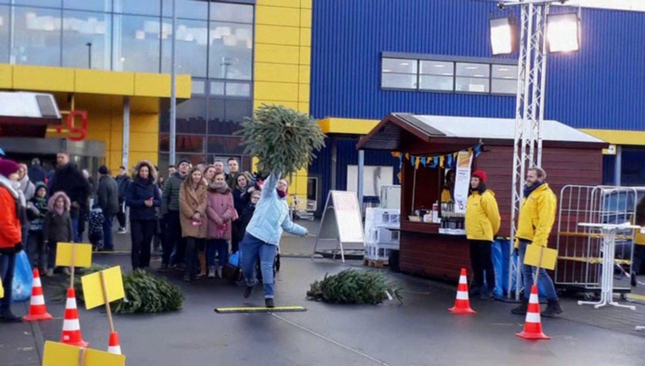 KNUT-Baumweitwurfmeisterschaft 2019