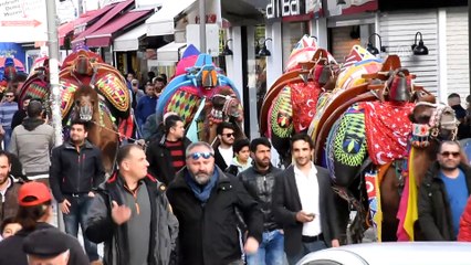 Bodrum Deve Güreşi Festivali