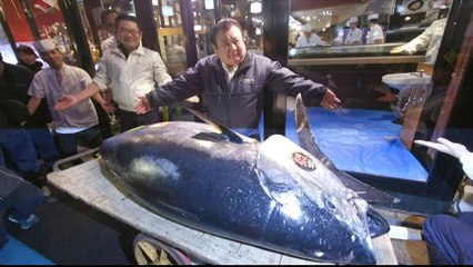 Japan's sushi king pays record price for bluefin tuna