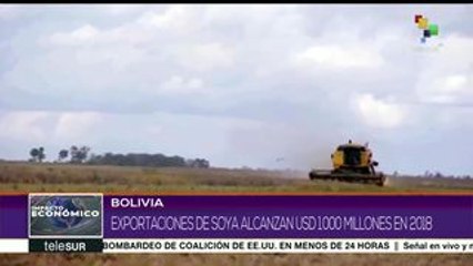Bolivia: exportaciones de soja alcanzaron los mil mdd en 2018