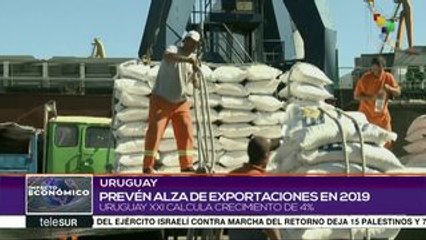 Uruguay prevé alza en exportaciones agroindustriales para este 2019