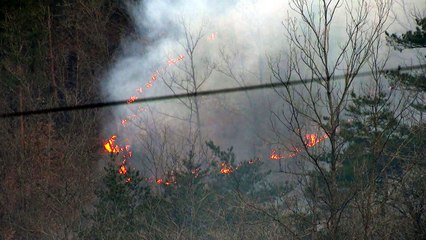[날씨] 늘어나는 겨울 산불...동해안 더 위험 / YTN
