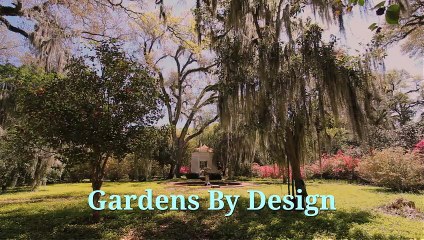 Turfing in Ashford at Affordable Price - Gardens By Design