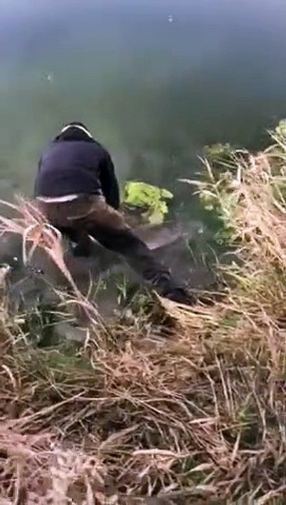 Haut-Doubs : relâche d'un brochet d'1,27 mètre dans le Doubs, à Morteau