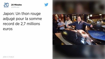 Japon. 2, 7 millions d'euros pour un thon aux enchères du Nouvel An