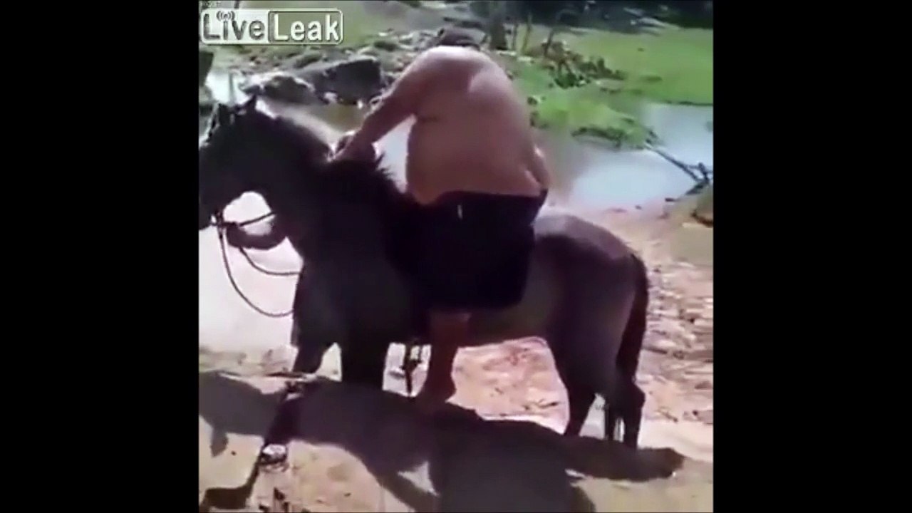 Ce pauvre cheval s'effondre sous le poids de cet homme obèse