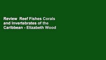 Review  Reef Fishes Corals and Invertebrates of the Caribbean - Elizabeth Wood