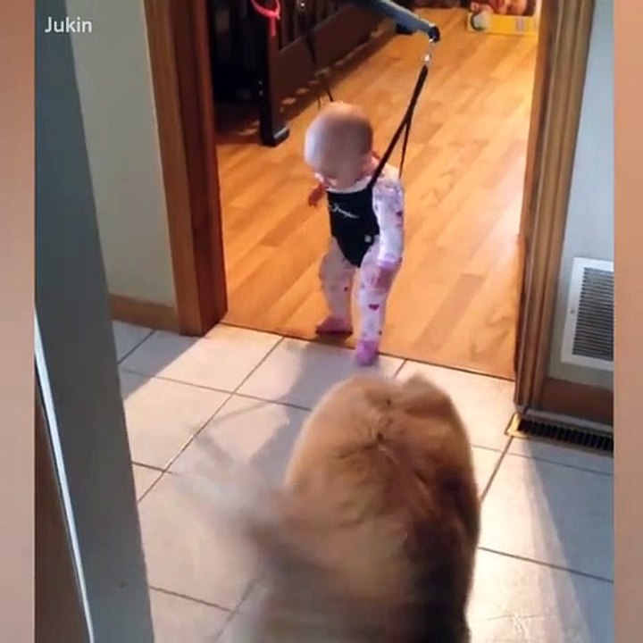 FUNNY VIDEO CUTE  BABY
