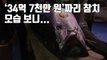 [자막뉴스] 무려 '34억 7천만 원'에 낙찰된 참치, 모습 보니... / YTN