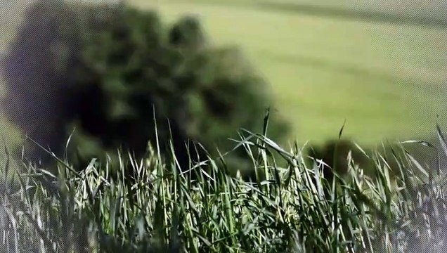 A vendre - Maison/villa - SAINT LAURENT D AGNY (69440) - 4 pièces - 110m²