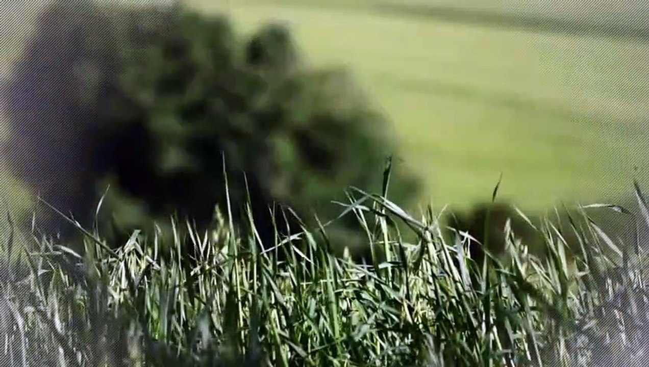 A vendre - Maison/villa - SAINT LAURENT D AGNY (69440) - 4 pièces - 110m²