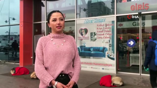 Hem yürekleri hem de köpekleri ısıtan hareket