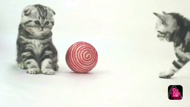 Nails Vs Balloon Slow Motion Experiments Manish Studio