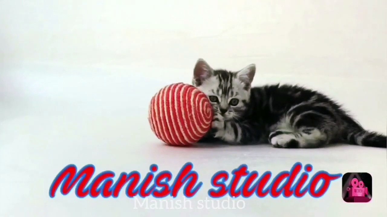 Experiment  Reverse video part-1  Balloon  Manish Studio