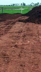 490 yards Commercial Purpose Plot Sale gannavaram gudivada highway before CRDA ORR Vijayawada