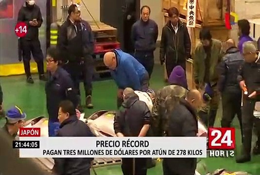 Japón: subastan un atún por 3 millones de dólares