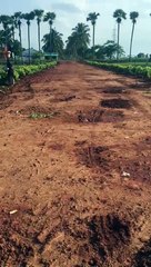 490 yards Commercial Plot in Gangadhara residency facing 80 ft road Gannavaram to Gudivada