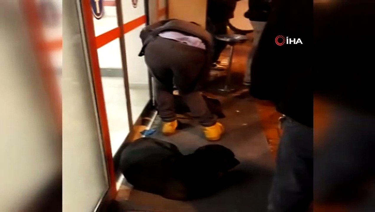 Montunu çıkarıp üşüyen köpeğin üzerine örttü