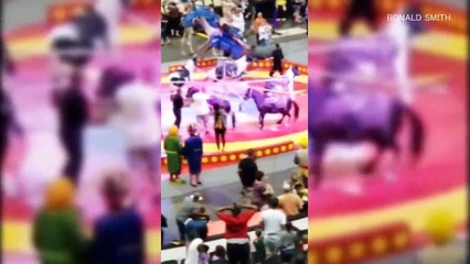 Video herunterladen: Verschrecktes Kamel läuft in Zirkus Amok